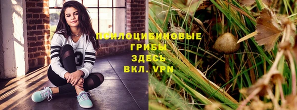 каннабис Беломорск
