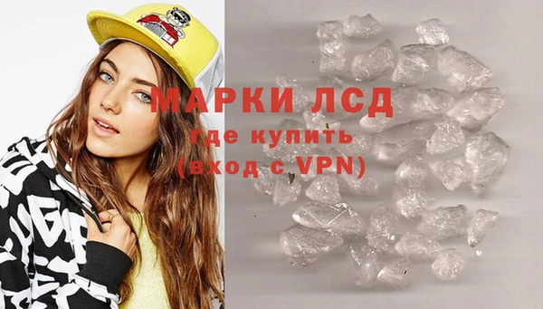 ECSTASY Пересвет