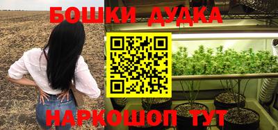 дживик Ирбит