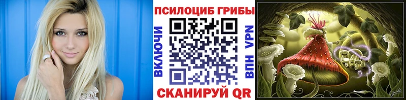 Галлюциногенные грибы прущие грибы  где купить наркоту  Курганинск 