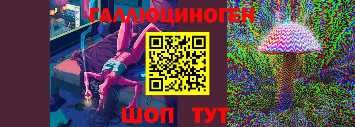 Псилоцибиновые грибы Cubensis  Курганинск  Галлюциногенные грибы прущие грибы 