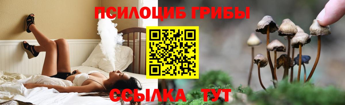 Псилоцибиновые грибы GOLDEN TEACHER Курганинск